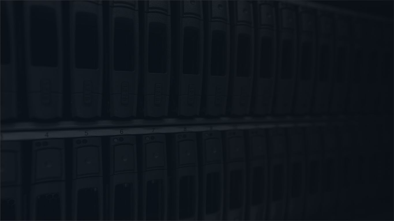 Everest | Everest Digital inicia operações e anuncia CEO